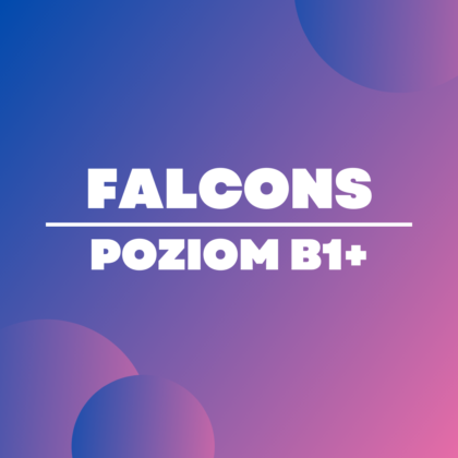 FALCONS - SÓWKA Edukacja dla Biznesu Sp. z o. o.